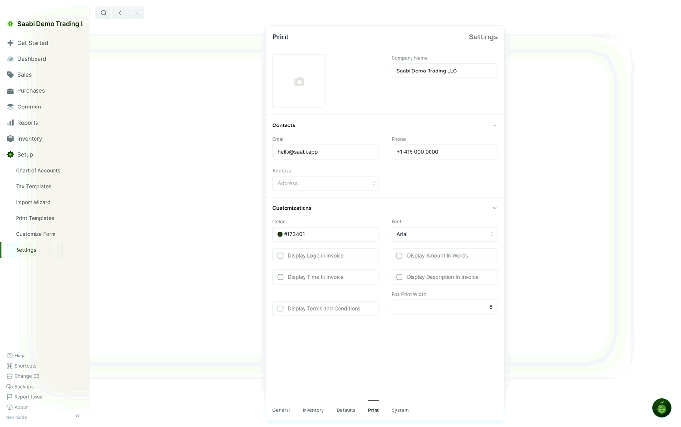 The Print tab: the logo box and company name at the top, the contact block in the middle, and the display options under Customizations